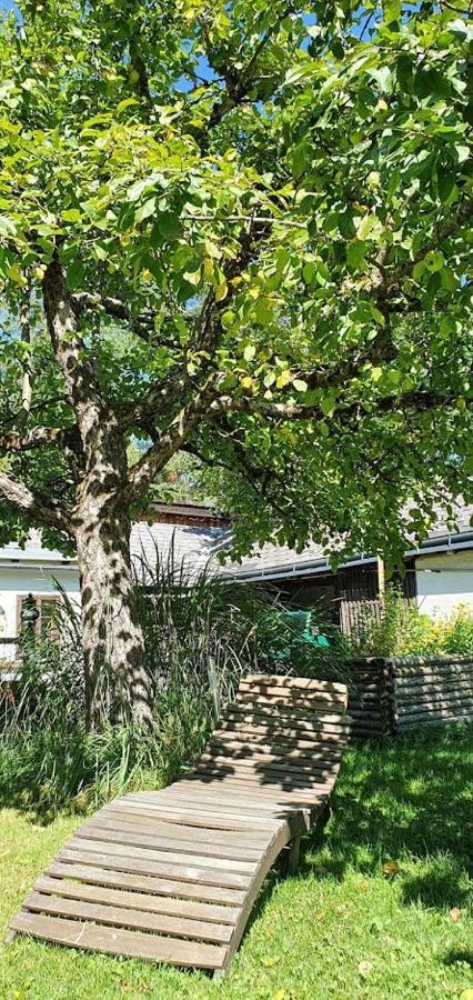 גוסטלינג אן דר איבס Appartements Maximilian מראה חיצוני תמונה
